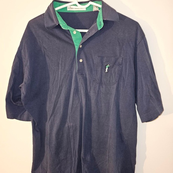 Men's Navy Polo Shirt with Green Accents - Picture 1 of 4